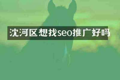 沈河区想找seo推广好吗