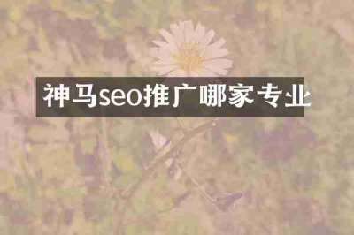 神马seo推广哪家专业