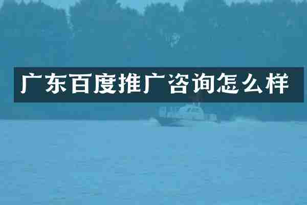 广东百度推广咨询怎么样