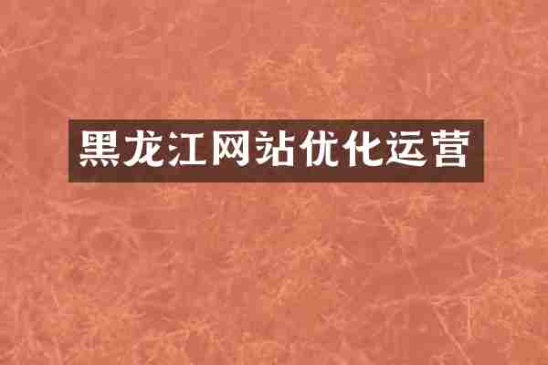 黑龙江网站优化运营