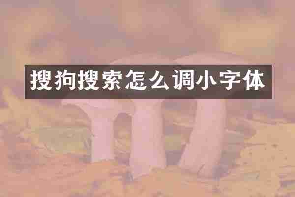 搜狗搜索怎么调小字体