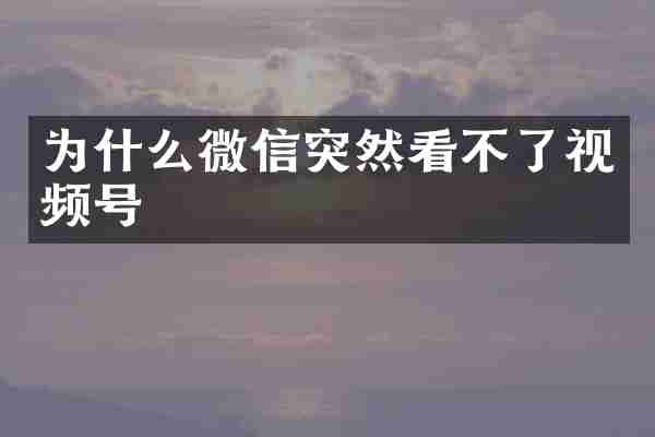 为什么微信突然看不了视频号