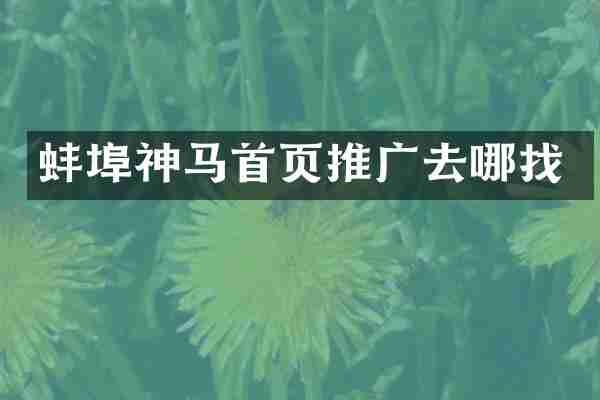 蚌埠神马首页推广去哪找