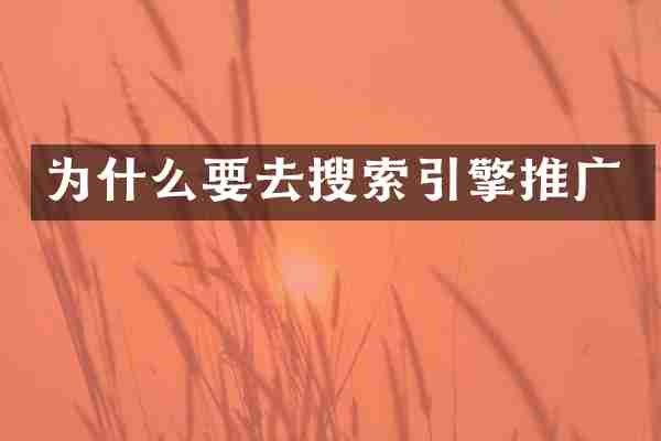 为什么要去搜索引擎推广