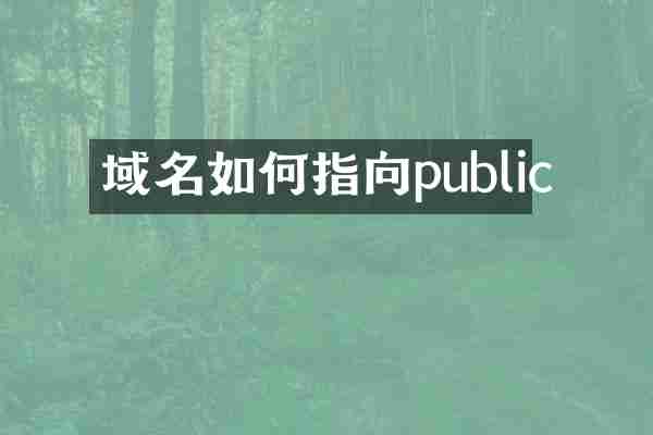 域名如何指向public