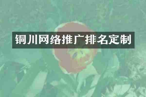 铜川网络推广排名定制