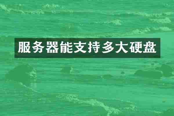 服务器能支持多大硬盘