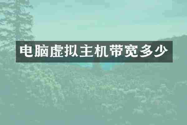 电脑虚拟主机带宽多少