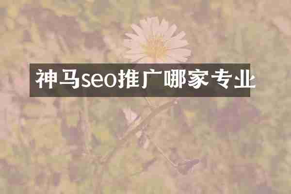 神马seo推广哪家专业