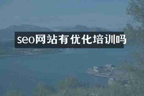 seo网站有优化培训吗