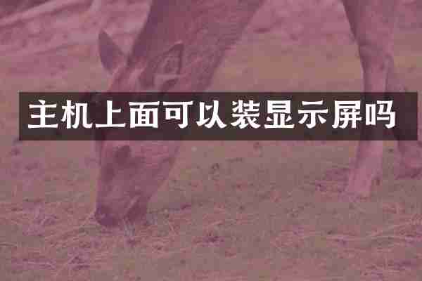 主机上面可以装显示屏吗
