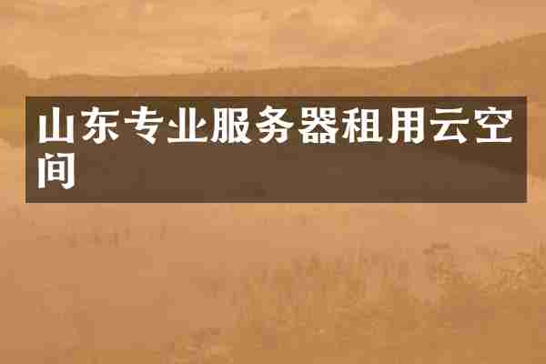 山东专业服务器租用云空间