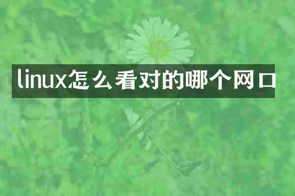 linux怎么看对的哪个网口