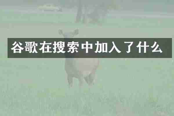 谷歌在搜索中加入了什么
