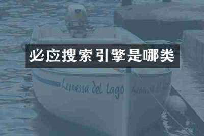 必应搜索引擎是哪类