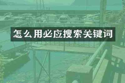 怎么用必应搜索关键词