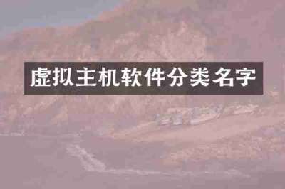 虚拟主机软件分类名字