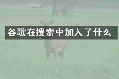 谷歌在搜索中加入了什么