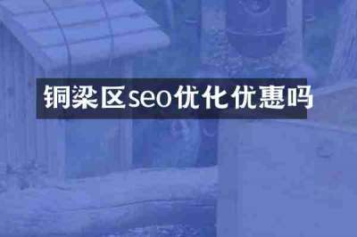 铜梁区seo优化优惠吗