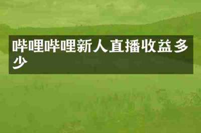 哔哩哔哩新人直播收益多少