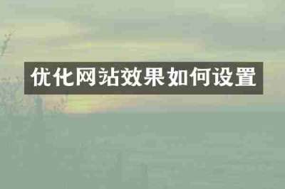 优化网站效果如何设置