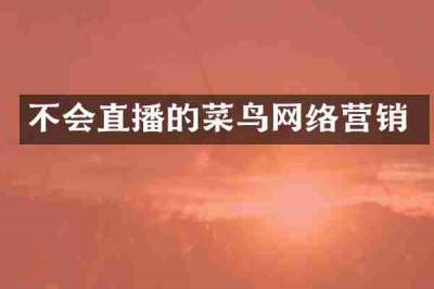 不会直播的菜鸟网络营销