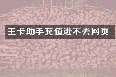 王卡助手充值进不去网页