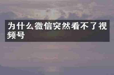 为什么微信突然看不了视频号