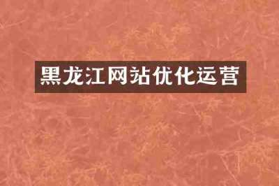 黑龙江网站优化运营