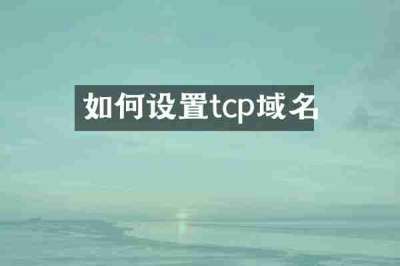 如何设置tcp域名