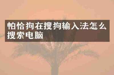 帕恰狗在搜狗输入法怎么搜索电脑