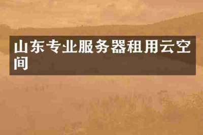 山东专业服务器租用云空间
