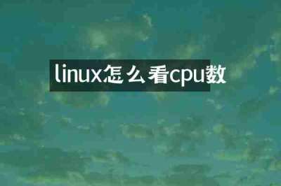 linux怎么看cpu数