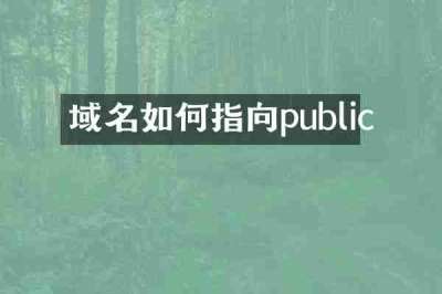 域名如何指向public