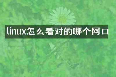 linux怎么看对的哪个网口