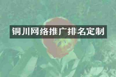 铜川网络推广排名定制