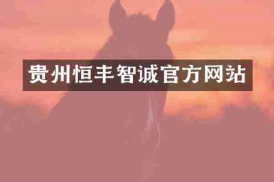 贵州恒丰智诚官方网站