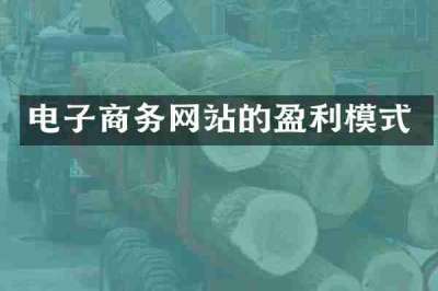 电子商务网站的盈利模式