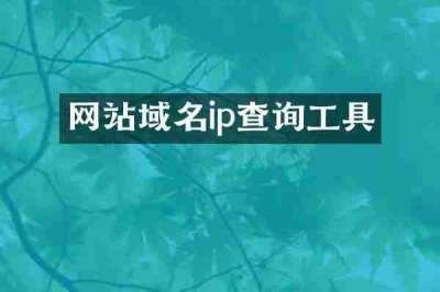 网站域名ip查询工具