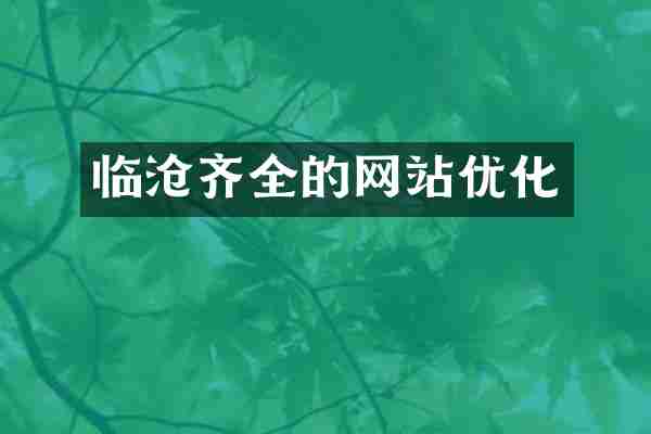 临沧齐全的网站优化