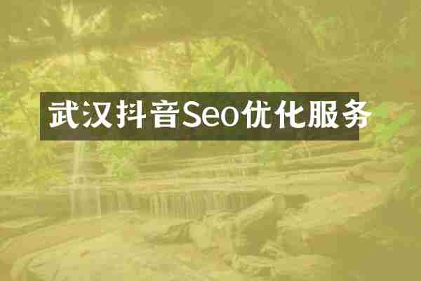 武汉抖音Seo优化服务
