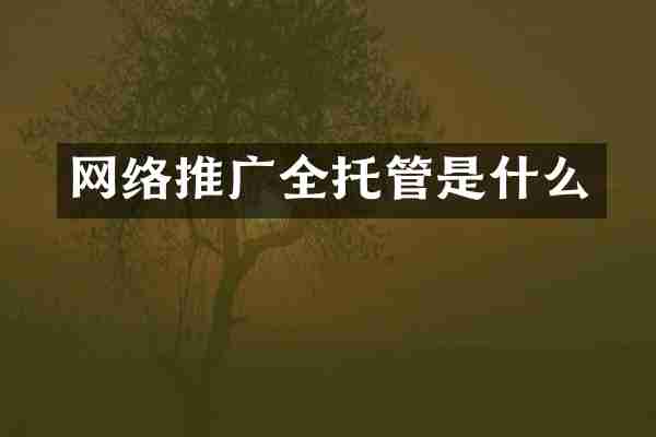 网络推广全托管是什么