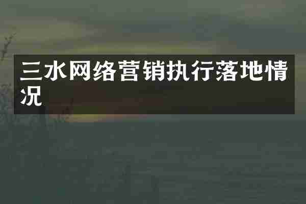 三水网络营销执行落地情况