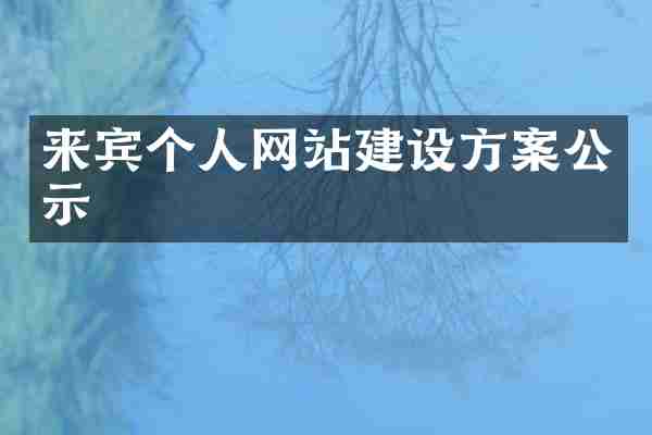 来宾个人网站建设方案公示