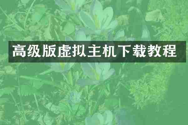 高级版虚拟主机下载教程