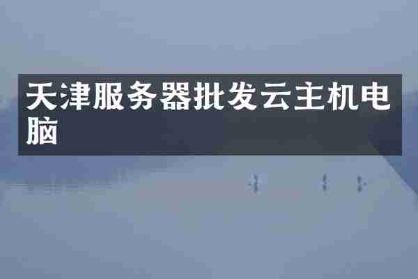 天津服务器批发云主机电脑
