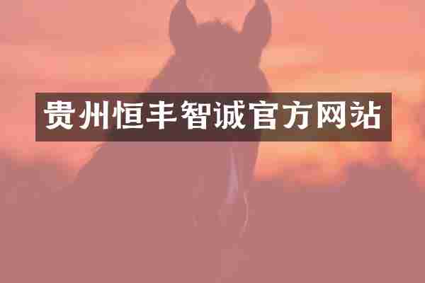 贵州恒丰智诚官方网站
