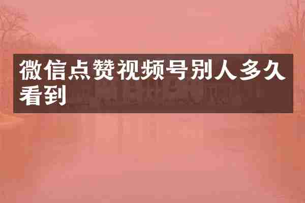 微信点赞视频号别人多久看到