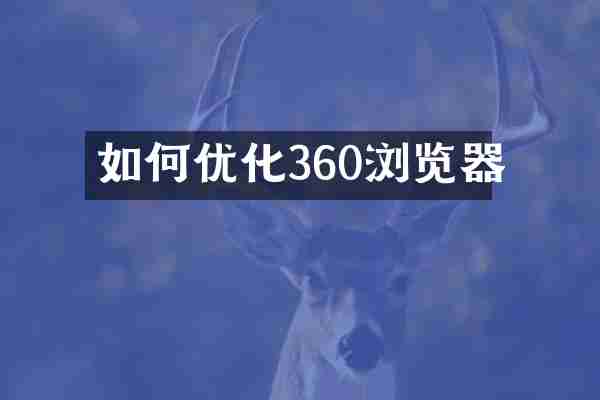 如何优化360浏览器