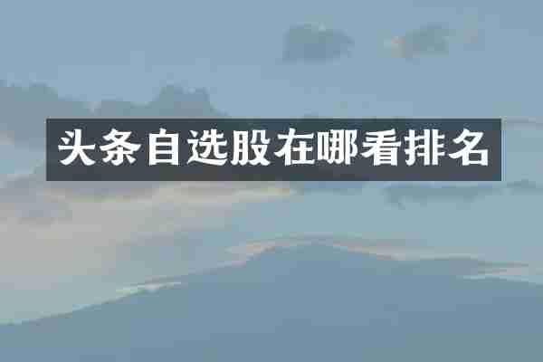 头条自选股在哪看排名